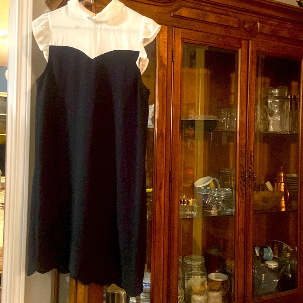 Dolls Kill Peter Pan Collar Scalloped Babydoll Dress large